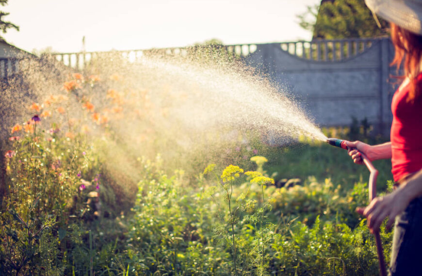 Rozpylacze deflektorowe